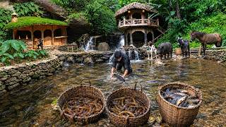 300 Eels & Lots of Fish Caught in a Forest Swamp | Life at Bushcraft Farm by the Waterfall