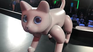 Meet the Marscat robot LIVE at CES 2020