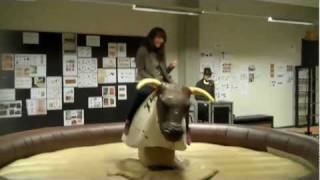 Bull ride 2 Februari