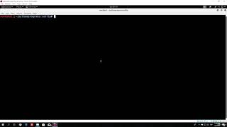 L21 (#3) Anonymous FTP login attack