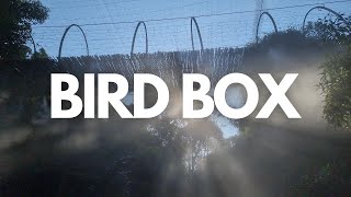 Behind the scenes at the largest aviary in the world: Birds of Eden (MINDBLOWING!)