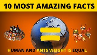 Human and Ants have Equal Weight On Earth | 10 Most Amazing Facts