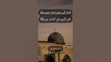 سورة المعارج الآية ٣٤ الى ٤٠ بصوت الشيخ محمد صديق المنشاوي
