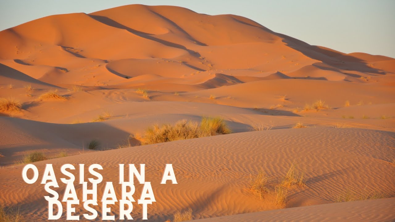 Oasis in a Sahara Desert | Calm | Relax | Smooth