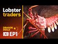 Rock lob-star: The Australian lobster China loves 🦞 | Dragon Deals Ep1 | ABC Australia