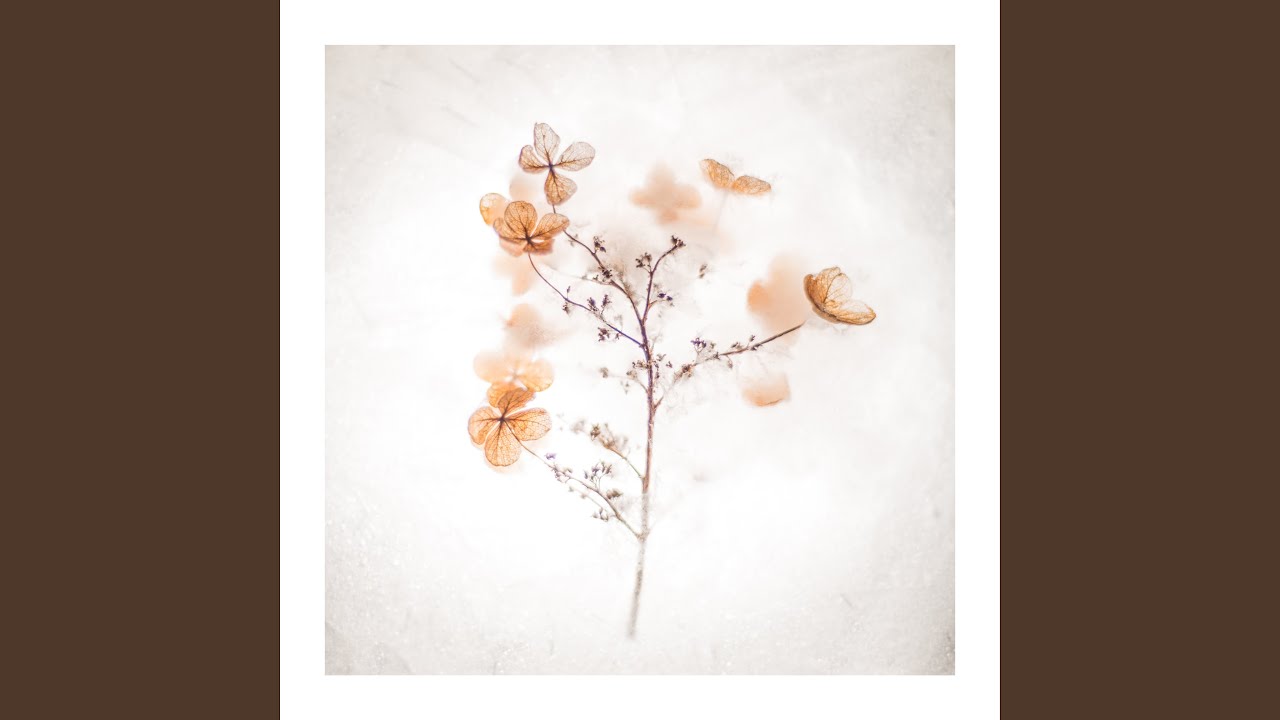 If you ever change your mind