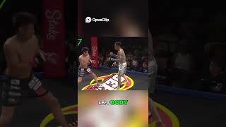 Devastating Elbow Strike #fighting #mma #knockout #knockouts