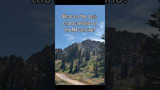 M4 Carbine Basic Characteristics. Prep for the Board Part 20