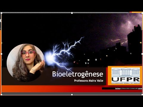 Aula 2 - Bioeleletrogênese