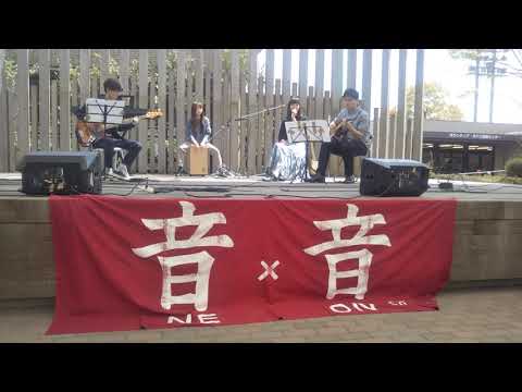 異端なスター/official髭男dism covered by 音×音
