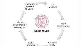 Celebrity Adapt N – Demo Intro Profile