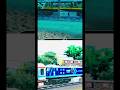 Train Crash Video | Shocking Train Accident Caught on Camera