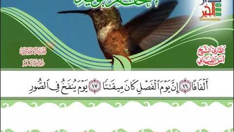 مصحف معلم التجويد سورة النبأ - دار الخيرللطباعة و النشر
