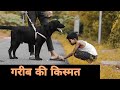 Qismat || dog short film || Waqt Sabka Badalta Hai || AUKAAT || SR Dose