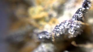 SSHxOG Macro