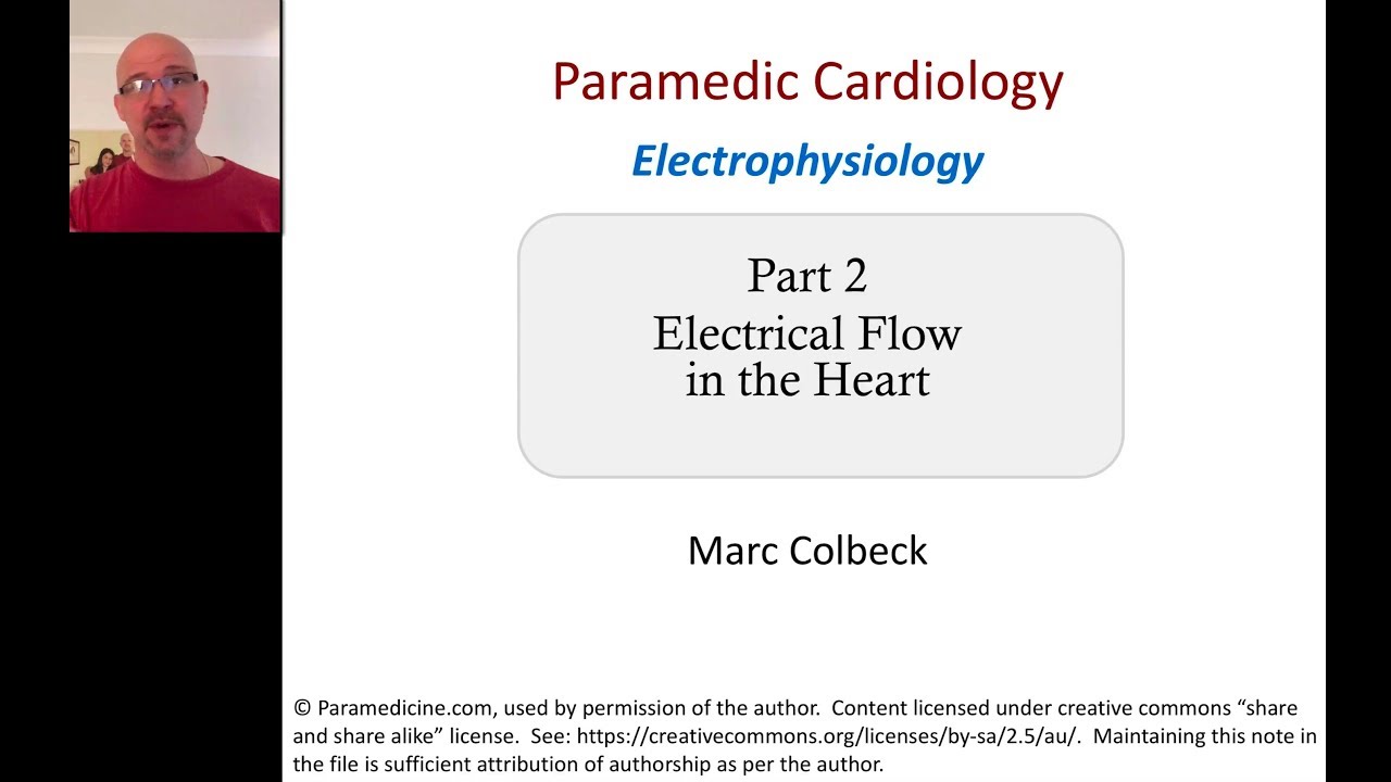 Cardiovascular Electrophysiology 2 - Electrical Flow In The Heart - YouTube