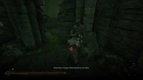 Mortal Shell - The Mist: Thestus "Bring Me A Glimpse" (Foundling No Gland) Dialogue Gameplay (2020)