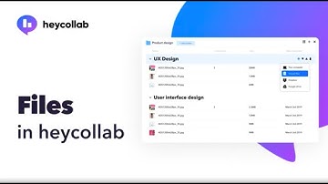 Files in Heycollab Project Management Tool