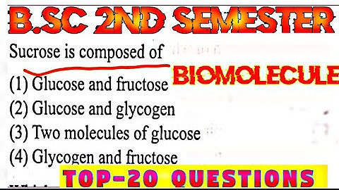 BSc 2nd Semester Biomolecule Zoology solved question paper 2023 / Solved paper 🔥#bsc4thsem