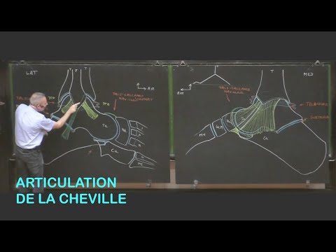 Vidéo: Luxation De L'articulation De La Cheville (cheville)