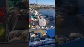 The boat is ready for deep-water Atlantic Halibut fishing off the coast of Nova Scotia 🇨🇦
