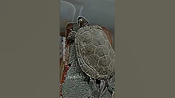 Random 1v1 #shorts #youtubeshorts #football #random #1v1 #edit #trending #fypシ #music