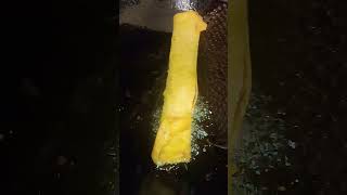 paneer spring roll shortvideo food shortvideo shortvideo