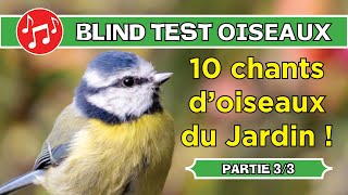 BLIND TEST : 10 chants d'Oiseaux du Jardin ! (Partie 3 sur 3)