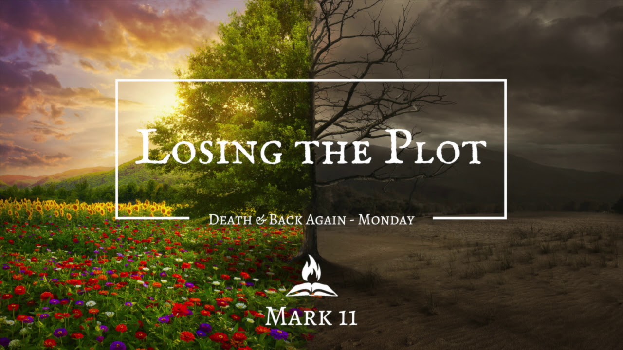 losing the plot book review