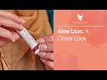 Learn more about forever aloe lips  forever living uk  ireland