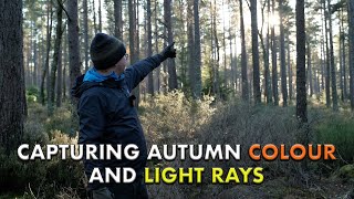 Capturing Stunning Autumnal Colour and Light - The Story Behind the Photograph Ep. 3