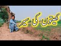 Visiting green fields  vlog naeem abbas bhutta vlogs