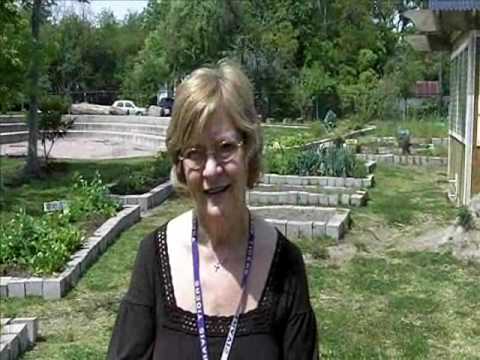 Houston Heights - Travis Elementary - Principal Suzie Walker.WMV