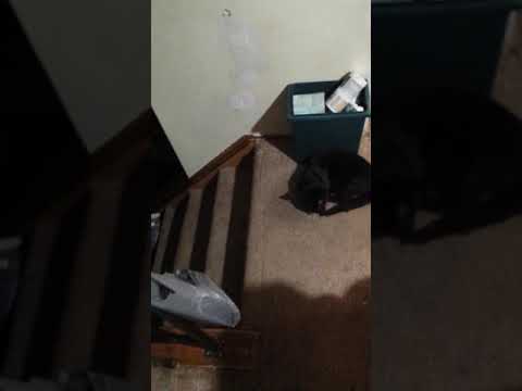 camera iphone 8 plus apk Talking to Salem