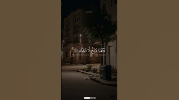 محمد صديق المنشاوي ،سورة الرحمان