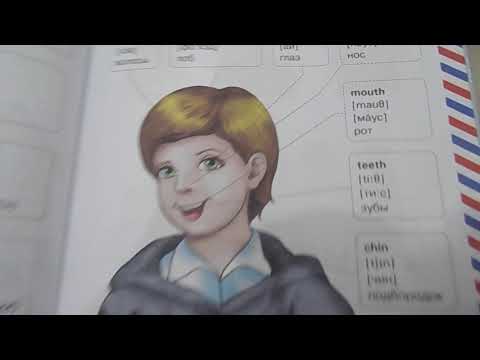 Книга Английский словарь для малышей в картинках, 4-6 лет, В.Державина