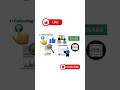 The Recommendation Systems | Why You Can’t Stop Scrolling: Social Media Algorithms Explained