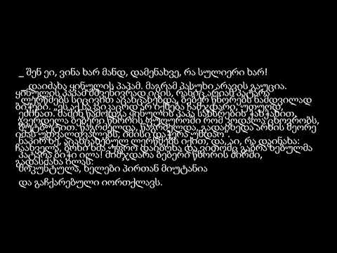 რავაზ ინანიშვილი. ყინულის პაპის საჩუქარი.