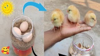 How to hatch eggs at home without incubatorIncubator plastic box help sunlight 100% resultchicken