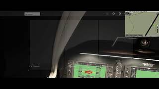 Microsoft Flight Simulator