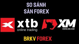 SÀN FOREX NÀO TỐT HƠN? SO SÁNH SÀN XTB VÀ SÀN XM - BRKV Forex