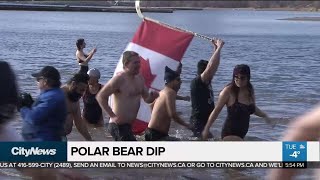 New Year's Day polar bear dips raise money for good causes