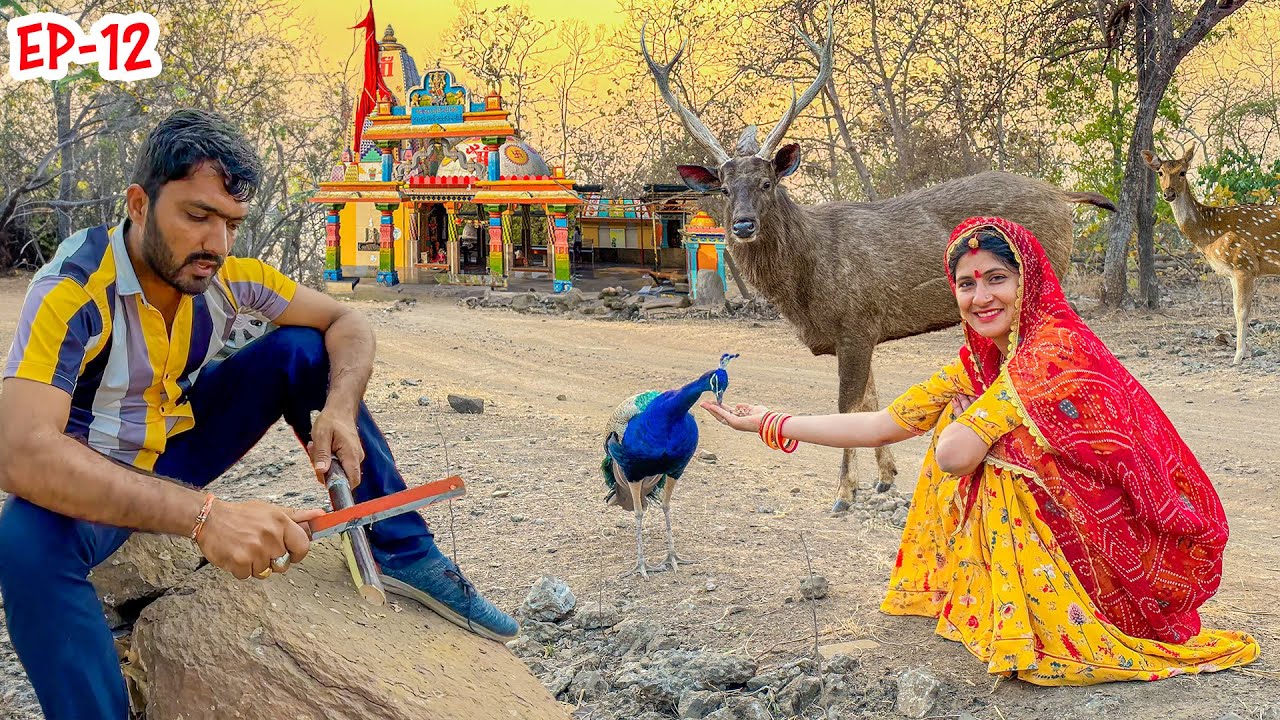 जंगल में रात हुई और गाड़ी ठप - फिर देखो क्या हुआ ? || Gujarat Ep. 12 | kankai mata Forest