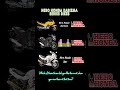 Hero Honda Karizma Series Bike | Exhaust Sound Comparison 🤯 #herohonda #karizmazmr #karizmar #shorts