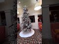 150 years old/The argyle Senior assisted living/senior living in Denver Colorado