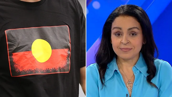 Australians to be ‘bombarded’ with ‘political propaganda’ on the Voice - DayDayNews