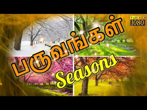 #Learn Four Seasons in #Tamil | பருவங்கள் | Why seasons change? | Seasons on earth |பருவகாலங்கள்