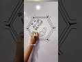plant cell diagram