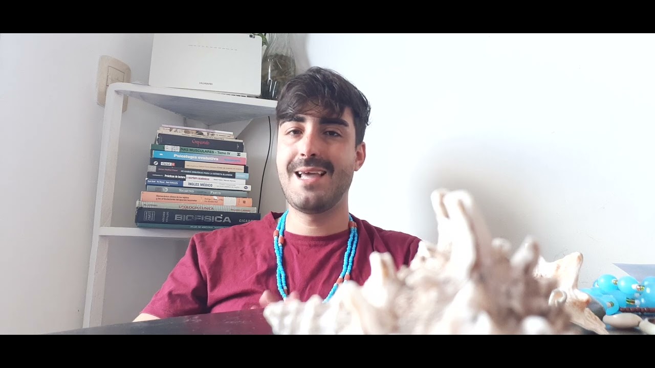 COMO INTERPRETAR CORRETAMENTE O JOGO E FAZER UMA BOA CONSULTA ORACULAR- AULA 5