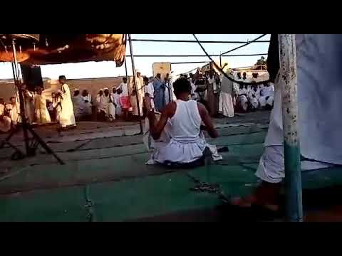 قيقم العكد زواج ياسر عثمان النصيح الشعديناب